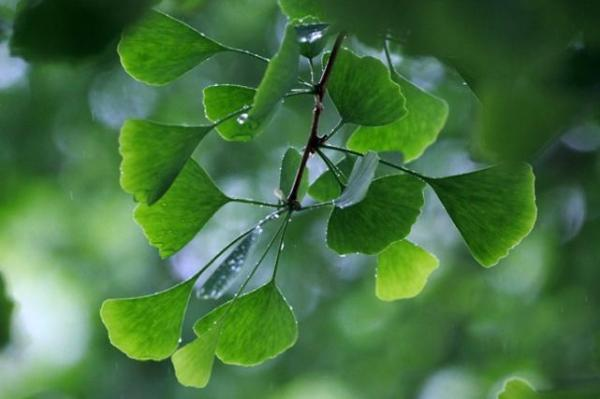 整套噴塑流水線設備廠