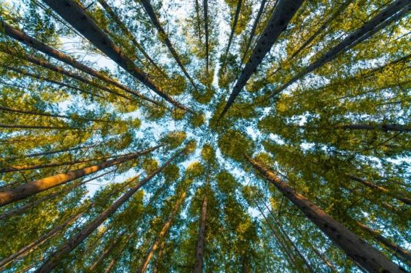 整套噴塑流水線設備廠:生意盎然的春正踏步而來！
