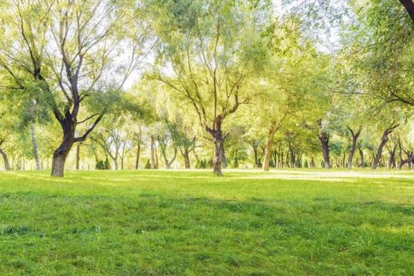 整套噴塑流水線設備廠:生意盎然的春正踏步而來！